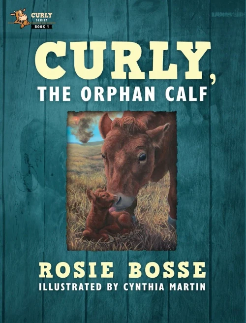 Curly, The Orphan Calf