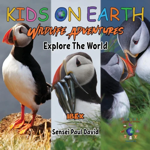 Kids On Earth Wildlife Adventures - Explore The World - Puffin - Iceland