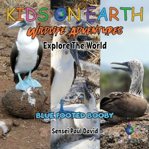 Kids On Earth Wildlife Adventures - Explore The World Blue Footed Booby - Ecuador