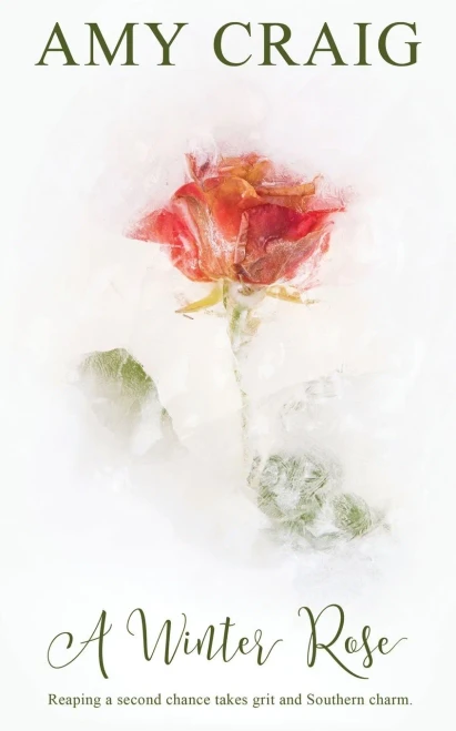 A Winter Rose