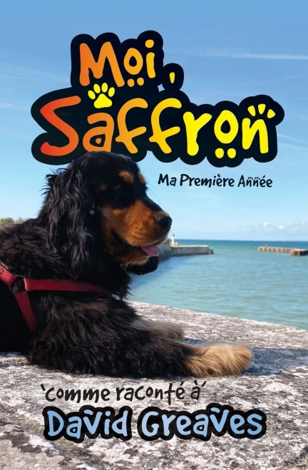Moi, Saffron: Ma Première Année