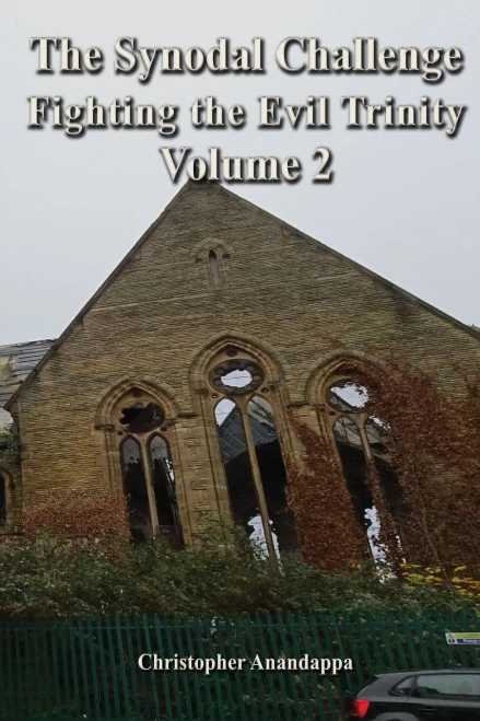 The Synodal Challenge Fighting The Evil Trinity: Volume 2