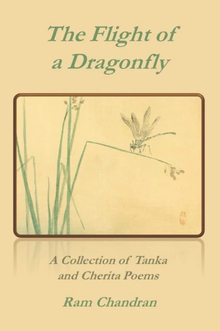 The Flight Of A Dragonfly