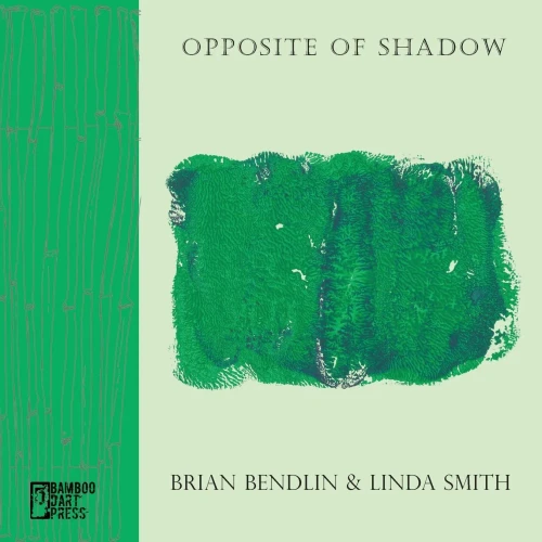 Opposite Of Shadow