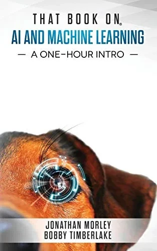 That Book on AI and Machine Learning: A One-Hour Intro