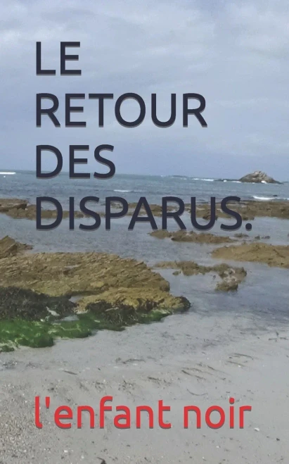 Le Retour Des Disparus. (Le Retours Des Disparus De La Presqu'Ils De Quiberon) (French Edition)