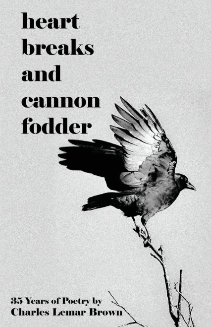 Heart Breaks And Cannon Fodder