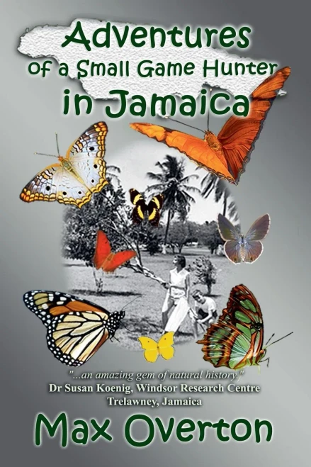 Adventures Of A Small Game Hunter In Jamaica