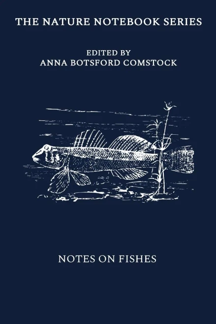 Notes On Fishes