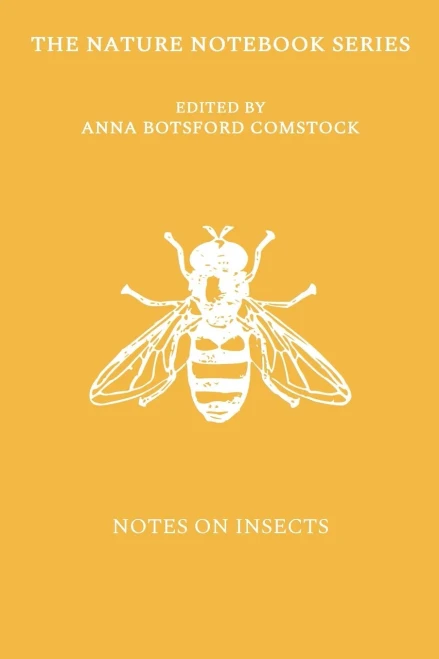 Notes On Insects