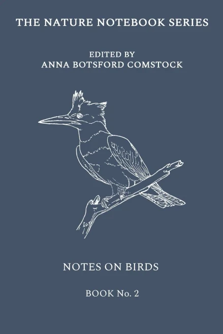 Notes On Birds 2