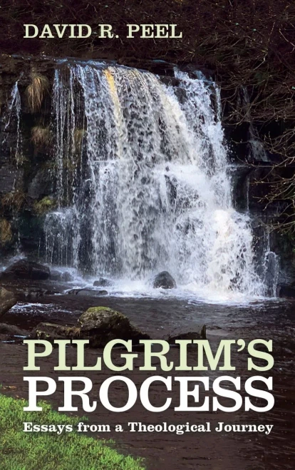Pilgrim'S Process
