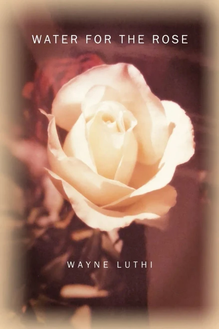 Water For The Rose