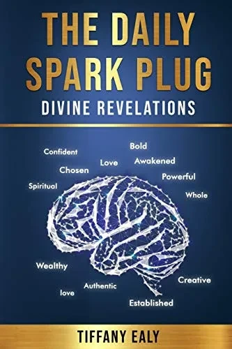 The Daily Spark Plug