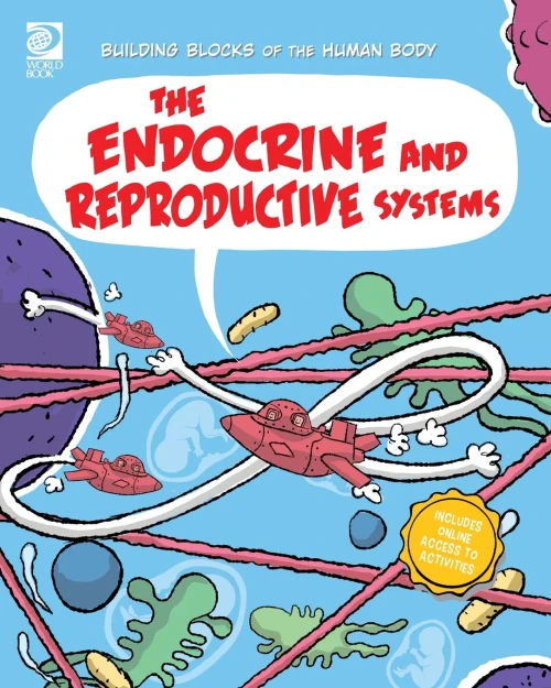 The Endocrine and Reproductive Systems (9780716650683)