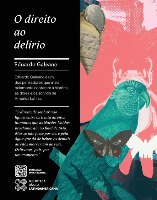 O direito ao delírio (Portuguese Edition)