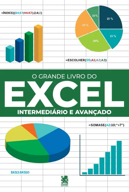 O Grande Livro Do Excel (Portuguese Edition)
