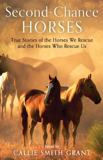 Second-Chance Horses: True Stories of the Horses We Rescue and the Horses Who Rescue Us