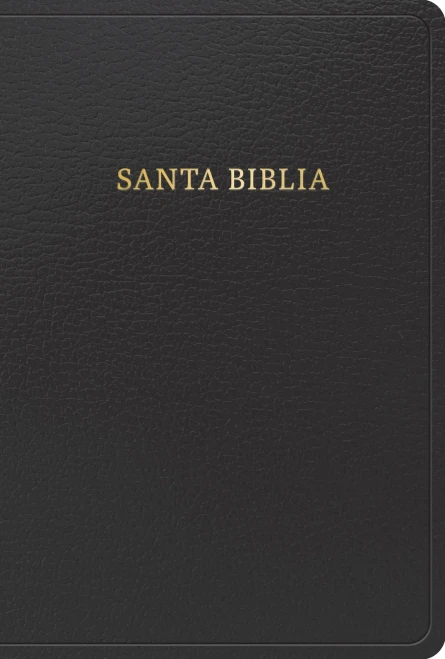 RVR 1960 Biblia letra grande tamaño manual, negra, imitación piel (edición 2023)/ RVR 1960 HSGP Bible black imitation leather 2023 edition (Spanish Edition)