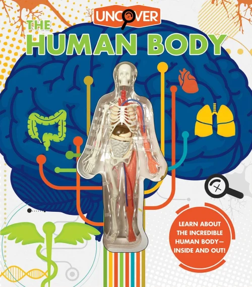 Uncover The Human Body