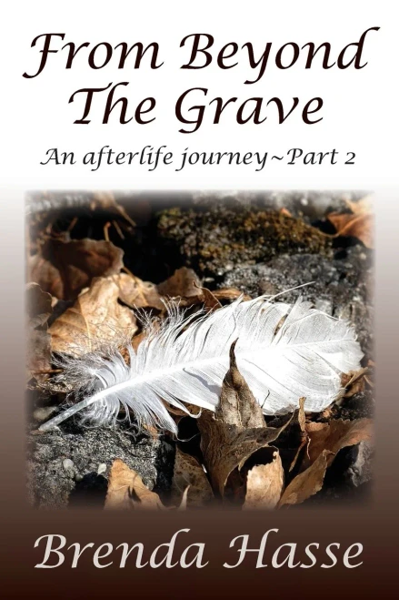 From Beyond The Grave: An afterlife journey ~ Part 2 (2)