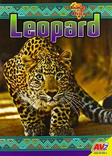 Leopard - 9781791135249