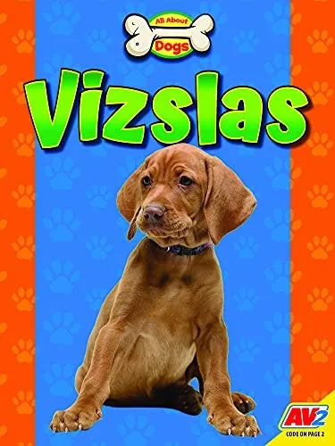 Vizslas - 9781791140441