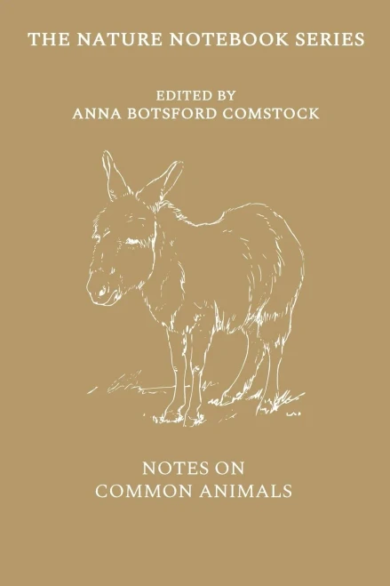 Notes On Common Animals