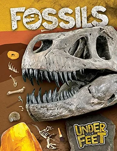 Fossils (Under Our Feet)