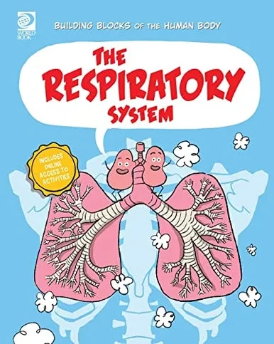 The Respiratory System