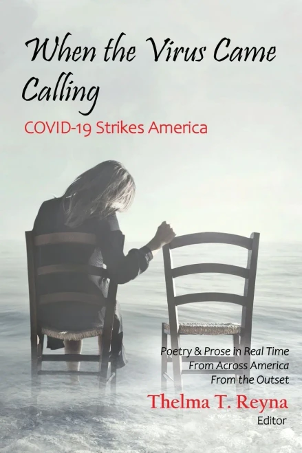 When the Virus Came Calling: COVID-19 Strikes America