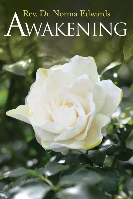Awakening - 9781955156561