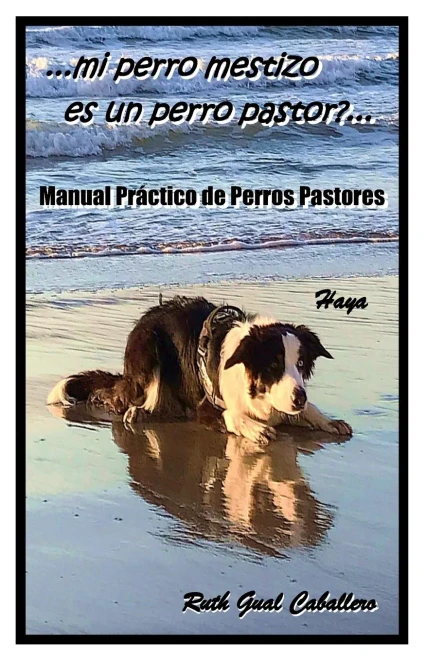 Manual Practico De Perros Pastores:  ¿Mi Perro Mestizo Es Un Perro Pastor?... (Spanish Edition)
