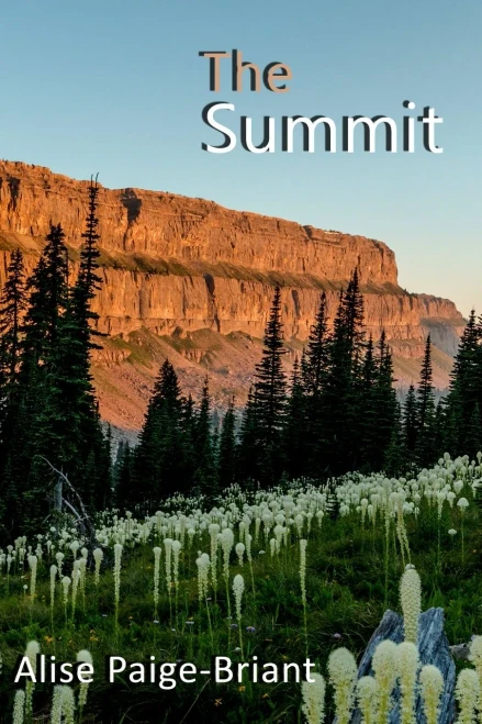 The Summit - 9781647195625