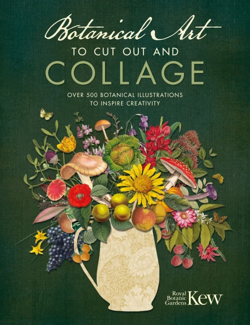Botanical Art To Cut Out And Collage: Over 500 Botanical Illustrations To Inspire Creativity
