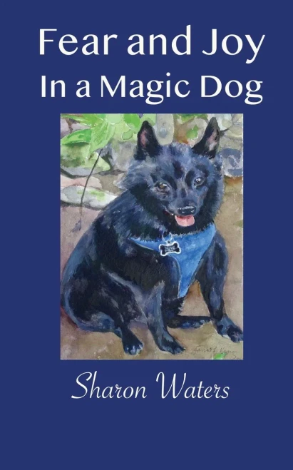 Fear And Joy In A Magic Dog