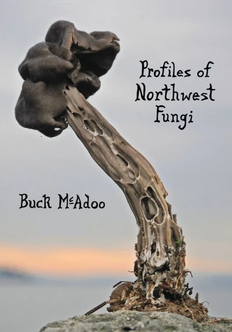 Profiles Of Northwest Fungi