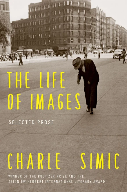 Life Of Images, The