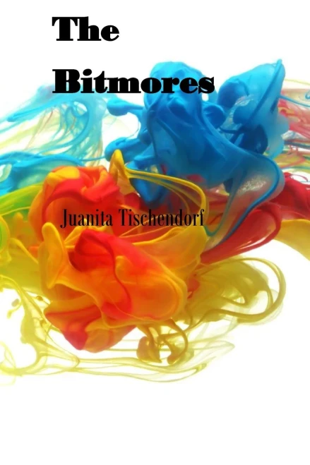 The Bitmores - 9781735071244