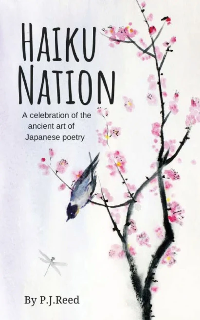Haiku Nation - 9781800498709