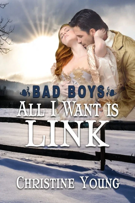 All I Want Is Link (Bad Boys)