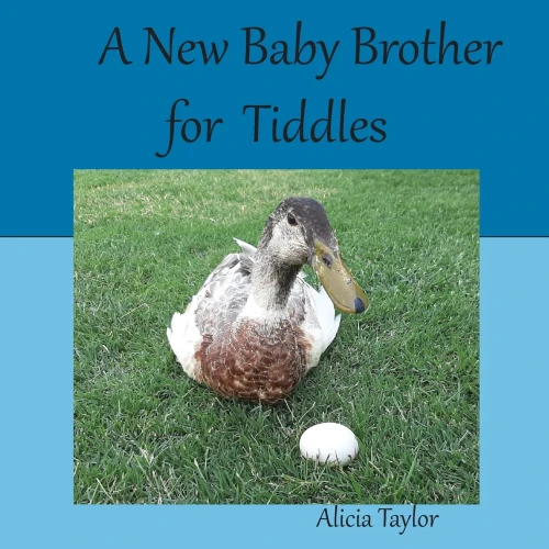A New Baby Brother For Tiddles
