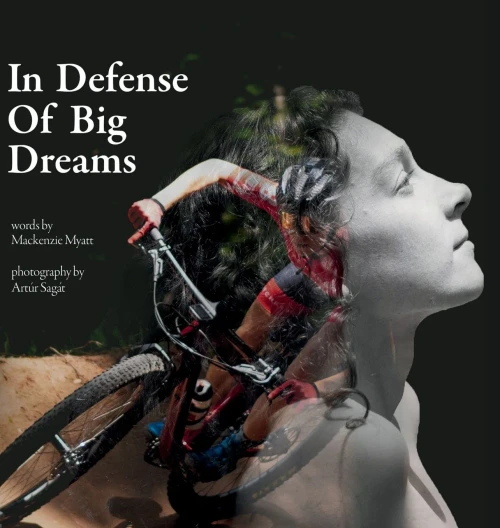 In Defense Of Big Dreams