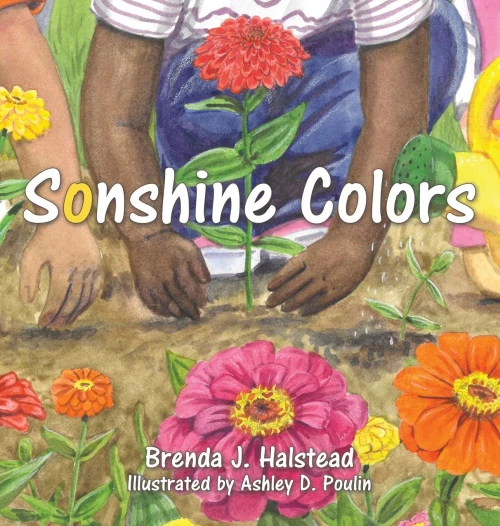 Sonshine Colors - 9781664232488