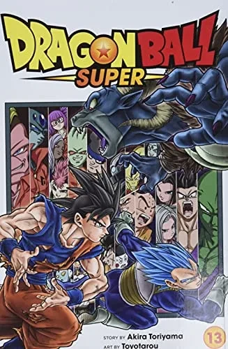 Dragon Ball Super, Vol. 13 (13)