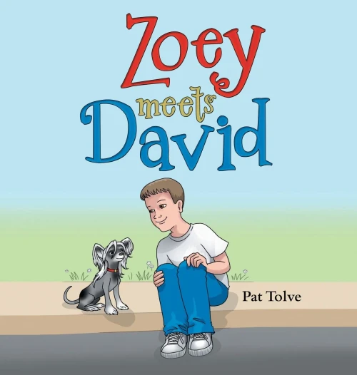 Zoey Meets David - 9781665703598