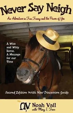 Never Say Neigh: An Adventure In Fun, Funny, And The Power Of Yes