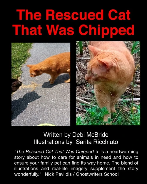 The Rescued Cat That Was Chipped.