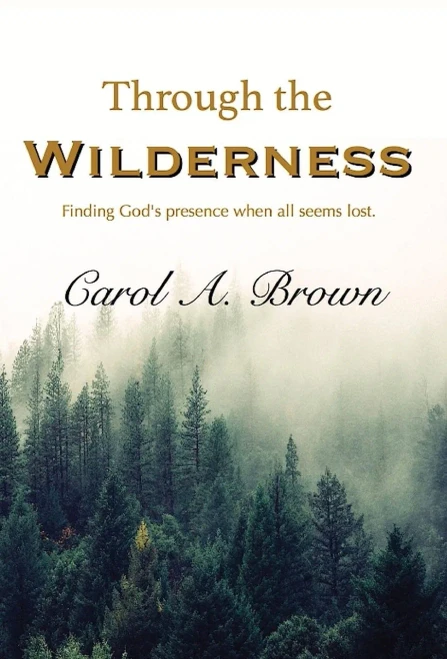 Through The Wilderness: Finding God's Presence When All Seems Lost.