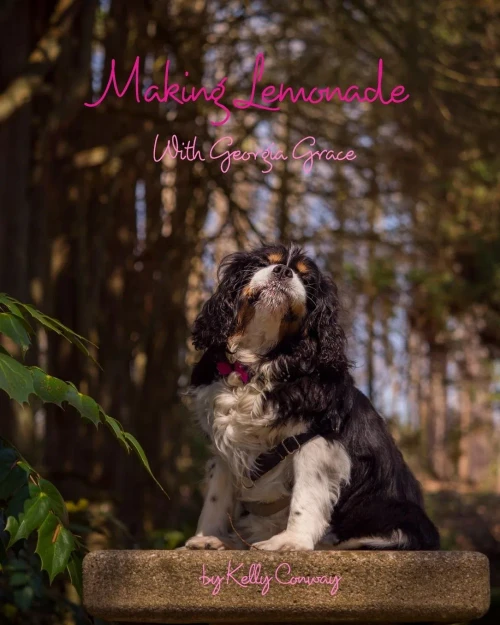 Making Lemonade With Georgia Grace